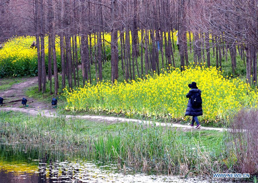 CHINA-SHANGHAI-PRIMAVERA