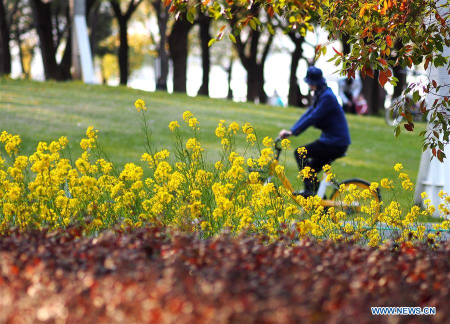 CHINA-SHANGHAI-PRIMAVERA