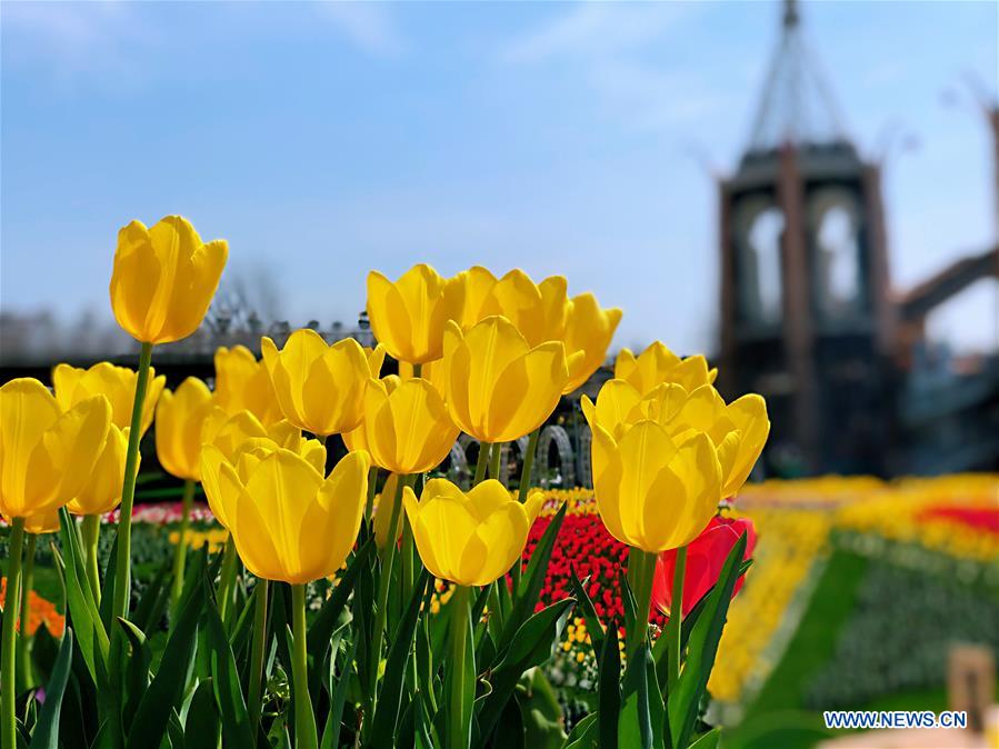 CHINA-SHANGHAI-PRIMAVERA