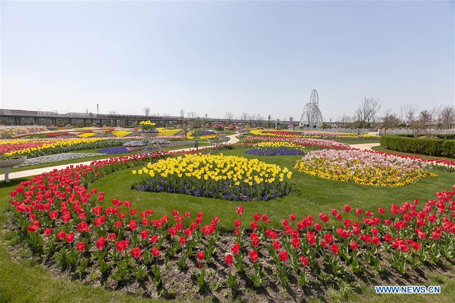 CHINA-SHANGHAI-PRIMAVERA