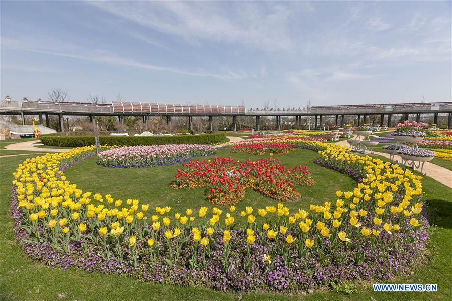 CHINA-SHANGHAI-PRIMAVERA