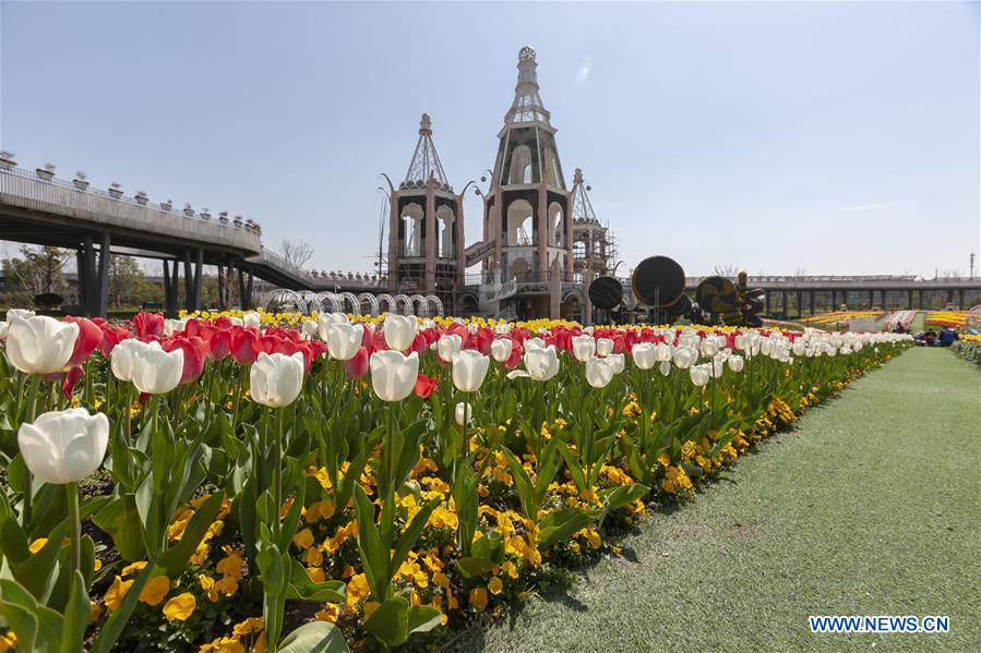 CHINA-SHANGHAI-PRIMAVERA