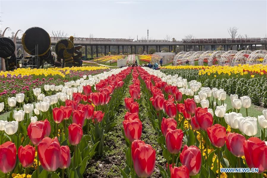 CHINA-SHANGHAI-PRIMAVERA