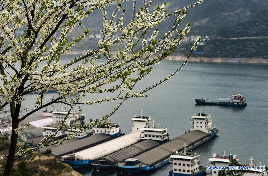 CHINA-HUBEI-YICHANG-TRES GARGANTAS-PAISAJE DE PRIMAVERA