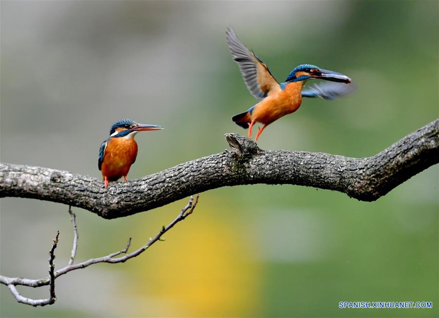 CHINA-FUJIAN-PRIMAVERA-MARTINES PESCADORES