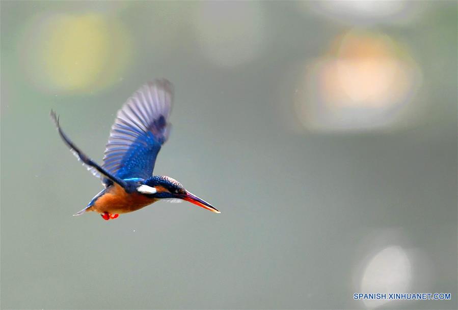 CHINA-FUJIAN-PRIMAVERA-MARTINES PESCADORES