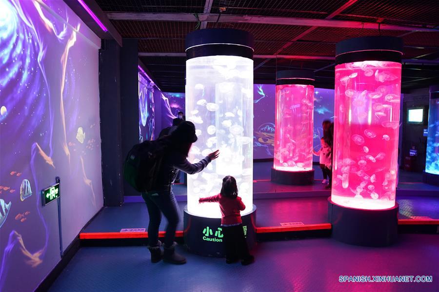 CHINA-HARBIN-POLARLAND-REAPERTURA