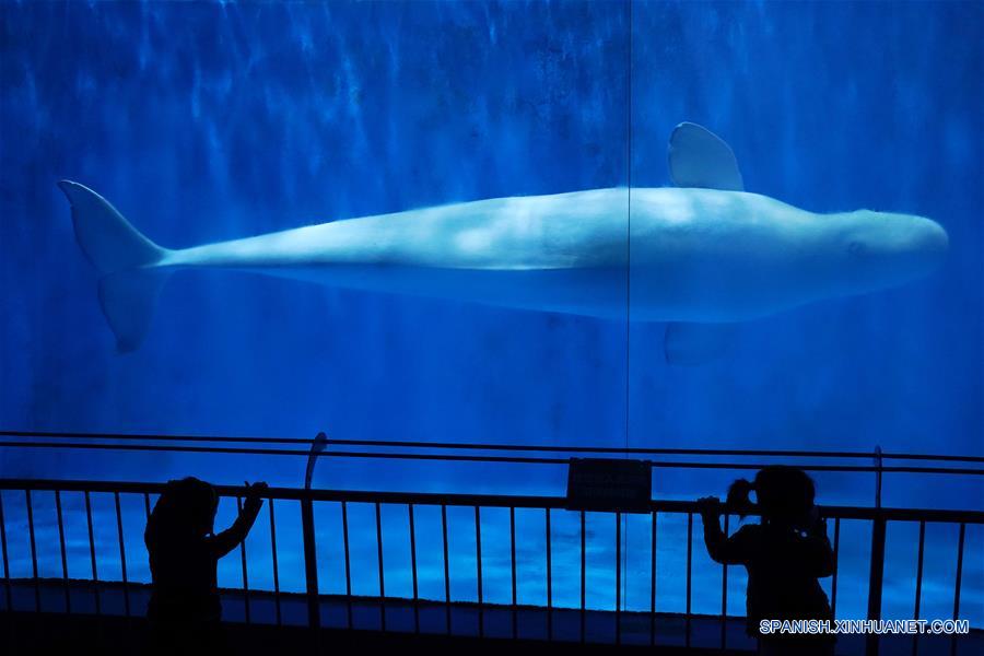 CHINA-HARBIN-POLARLAND-REAPERTURA