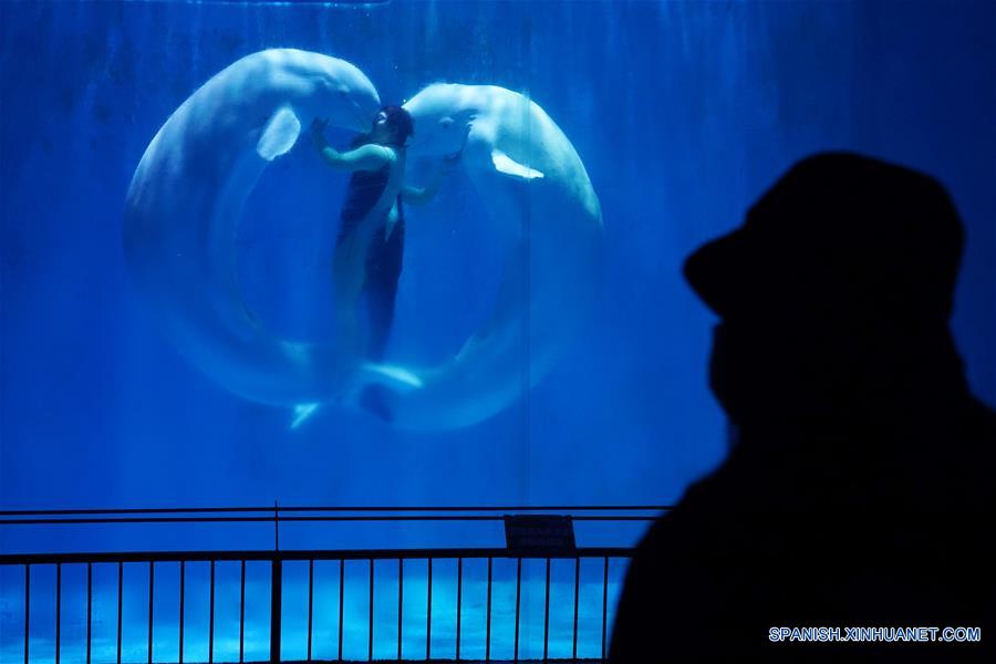 CHINA-HARBIN-POLARLAND-REAPERTURA