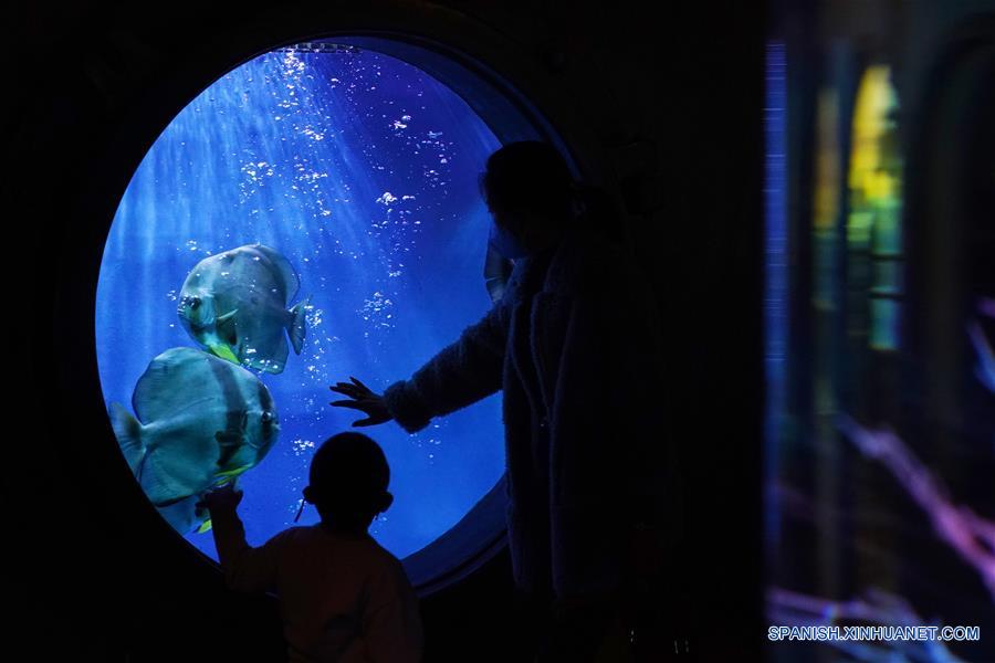 CHINA-HARBIN-POLARLAND-REAPERTURA