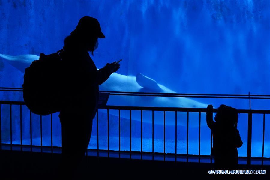 CHINA-HARBIN-POLARLAND-REAPERTURA
