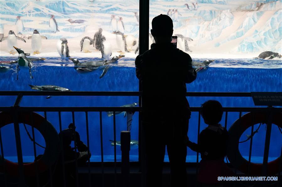 CHINA-HARBIN-POLARLAND-REAPERTURA