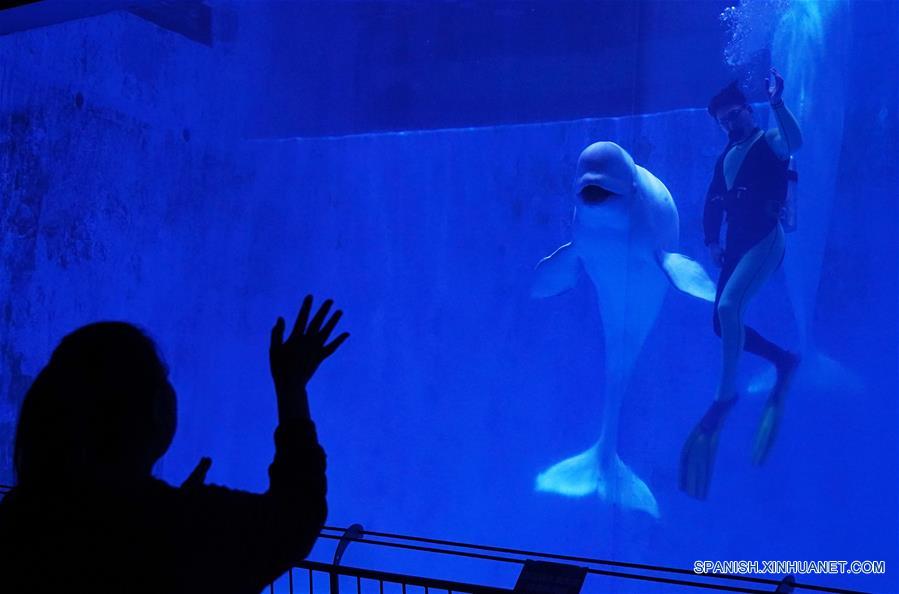 CHINA-HARBIN-POLARLAND-REAPERTURA