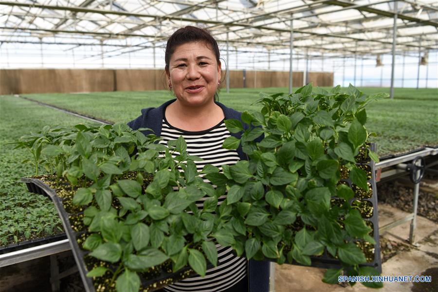 Hogares Pobres Incrementan Ingreso A Través Del Desarrollo De Modernas Instalaciones Agrícolas 