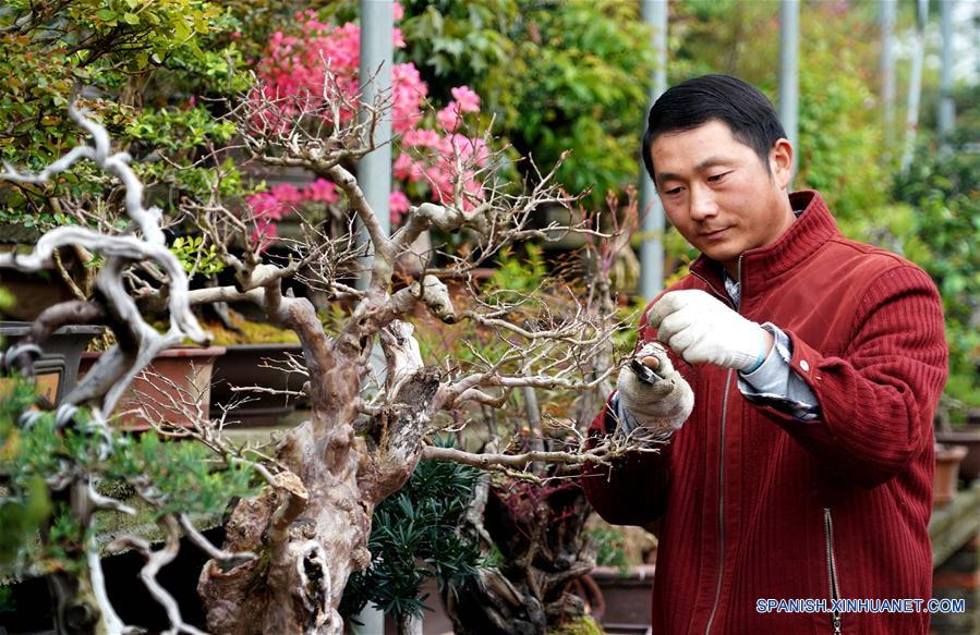 CHINA-HENAN-INDUSTRIA DE PLANTACION DE FLORES Y ARBOLES-ALIVIO DE LA POBREZA