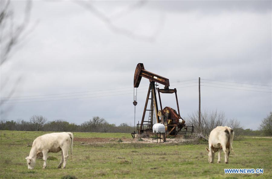 EEUU-TEXAS-LULING-PRECIOS DEL PETROLEO-CAIDA