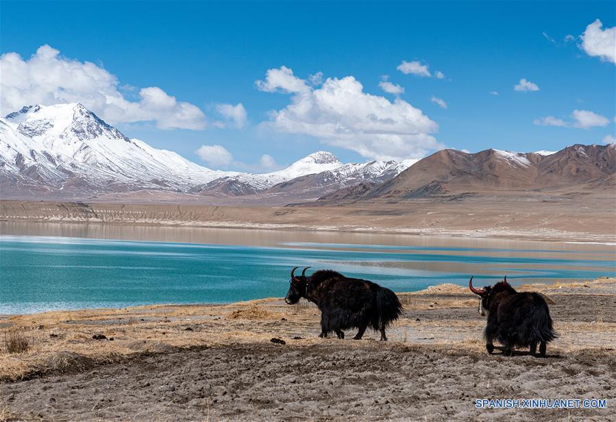 CHINA-TIBET-TANGQUNG CO-PAISAJE-SERIE