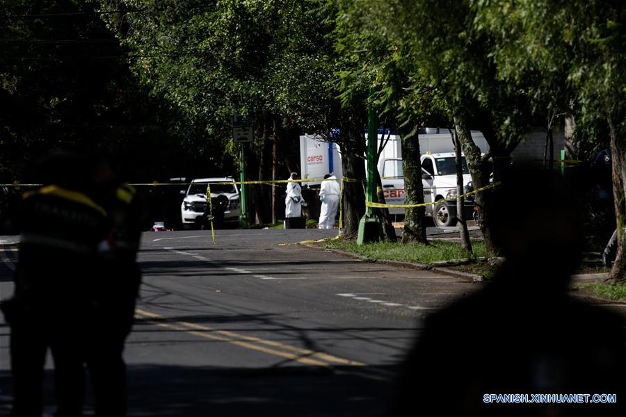MEXICO-CIUDAD DE MEXICO-SEGURIDAD-GARCIA HARFUCH