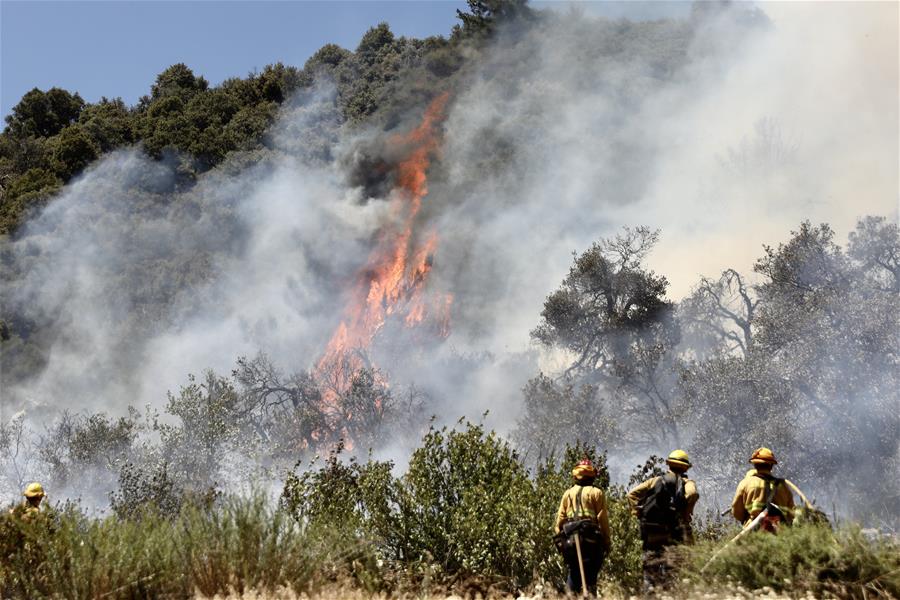 EEUU-CALIFORNIA-INCENDIO FORESTAL