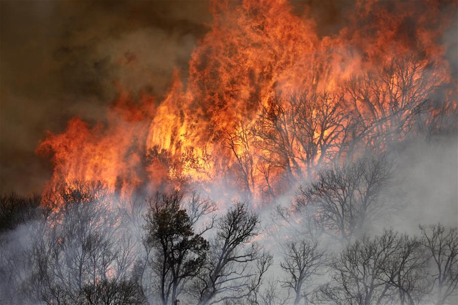 EEUU-CALIFORNIA-INCENDIO FORESTAL