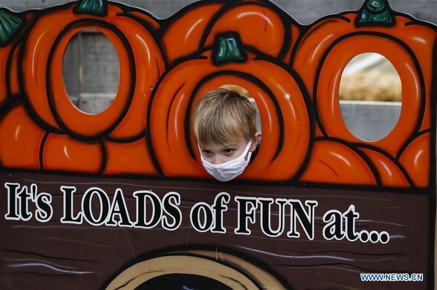 EEUU-ILLINOIS-LINCOLNSHIRE-FESTIVAL DE CALABAZA