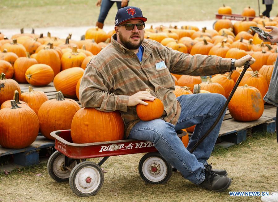 EEUU-ILLINOIS-LINCOLNSHIRE-FESTIVAL DE CALABAZA