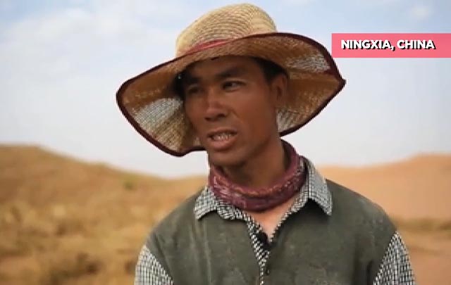 Trabajadores chinos luchan contra la desertificación en un calor abrasador