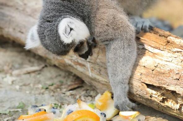 Una ola de calor continuó afectando Croacia