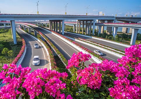 Fujian: Flores de bugambilia en un cruce del Puente Houzhu en Quanzhou