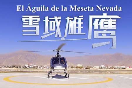 El Águila de la Tierra Nevada