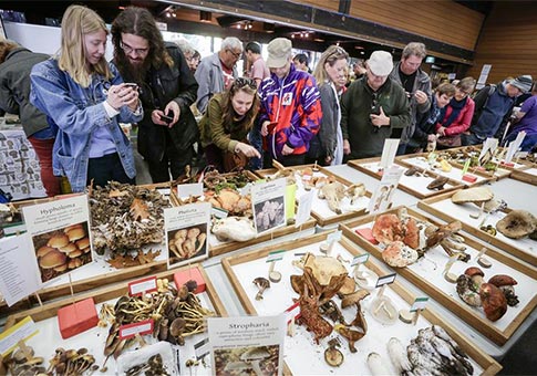 Exposici&oacute;n de Hongos de Vancouver