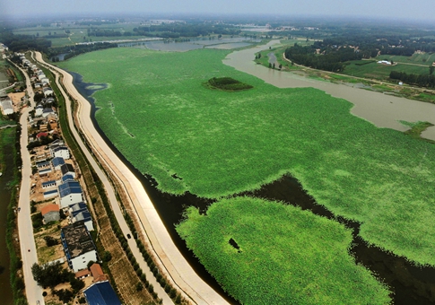 Henan implementa estrategia de revitalización rural en los últimos años