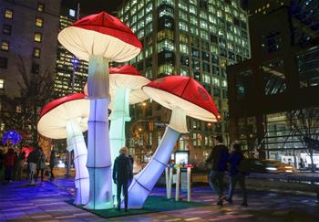 La exposición "Lumiere Vancouver"