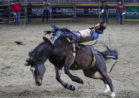 Competencia de Rodeo de la Feria Real Agrícola de Invierno 2018 en Toronto