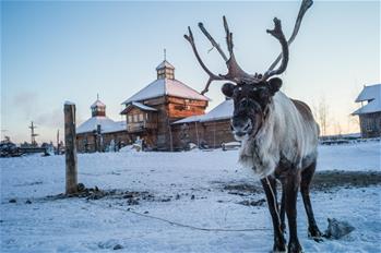 Vida Cotidiana de Yakutsk en Rusia
