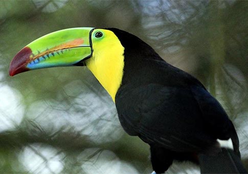 Zoológico Rosy Walther, refugio para animales