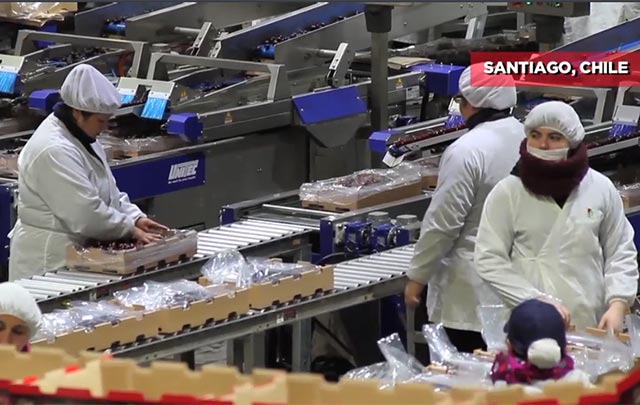 Empresa china SDIC busca expandirse en industria agrícola chilena
