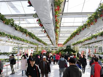 El 7 Carnaval de la Agricultura de Beijing
