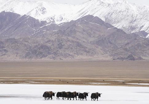 Reserva Natural Nacional de las Monta&ntilde;as de Altun