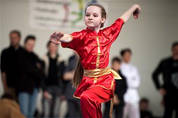 El 5 Campeonato Abierto de Wushu de Lituania