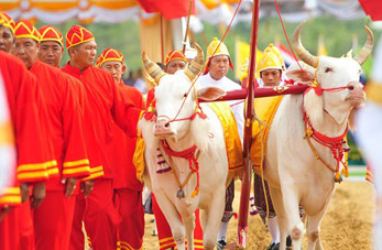 Ceremonia de arado anual en Tailandia