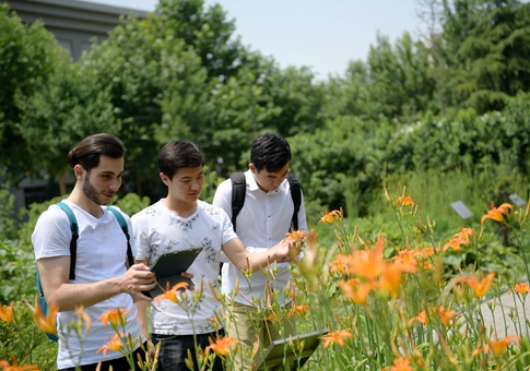 Estudiantes extranjeros estudian acupuntura en Shaanxi