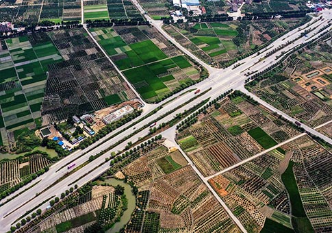 Guangxi: Vista aérea de un huerto de mandarinas en el distrito de Wuming de Nanning