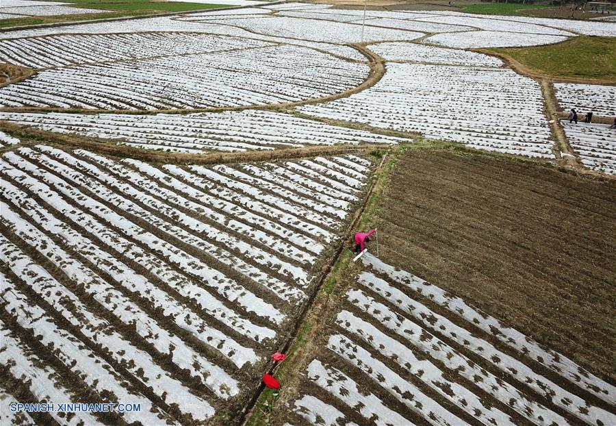 CHINA-QIANDONGNAN-INDUSTRIA-AGRICULTURA