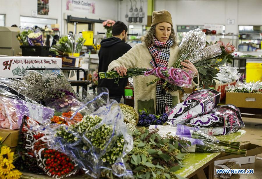 Series de tiempo Burro bolso Mercado mayorista de flores en Chicago, Estados Unidos