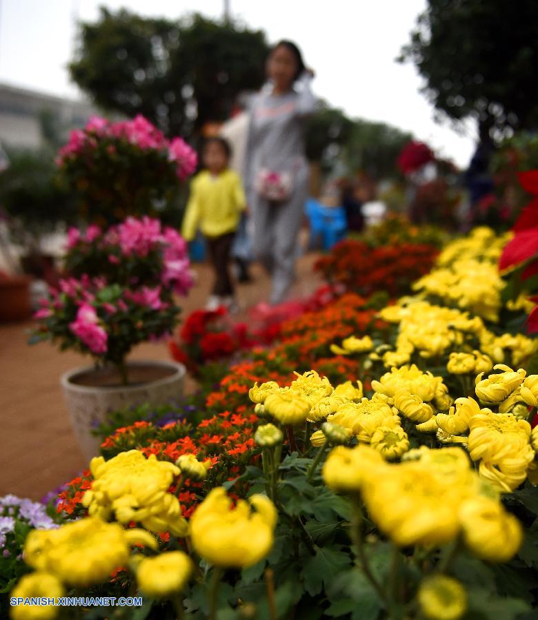 ¡Ya llega la primavera!