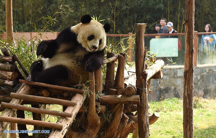 Animales en Zoológico en Yunnan