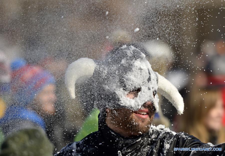 U.S.-WASHINGTON D.C.-SNOWBALL FIGHT