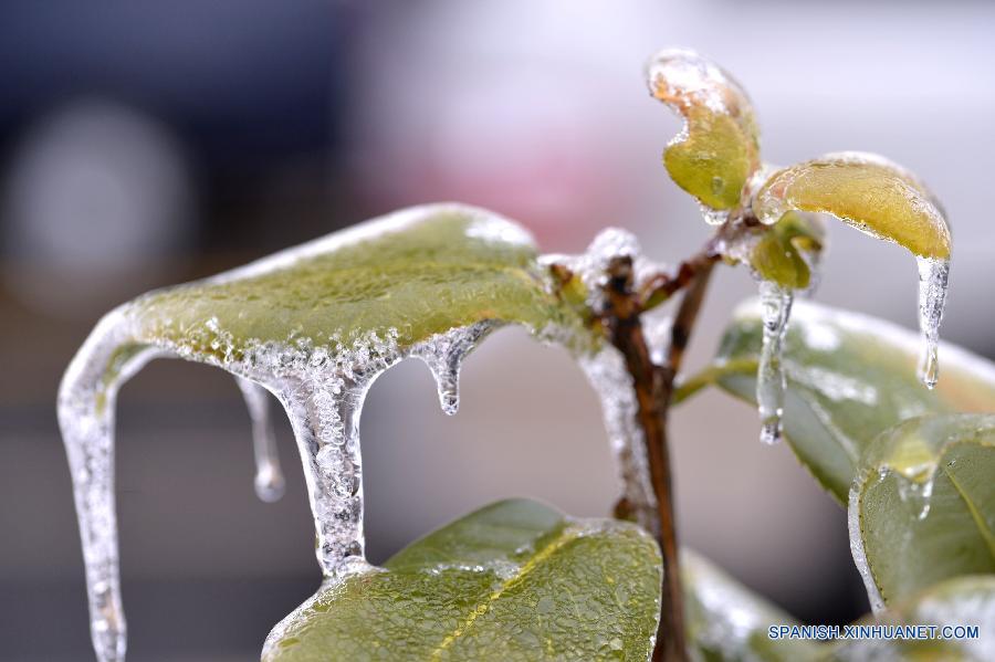 US-WASHINGTON-WEATHER-ICE