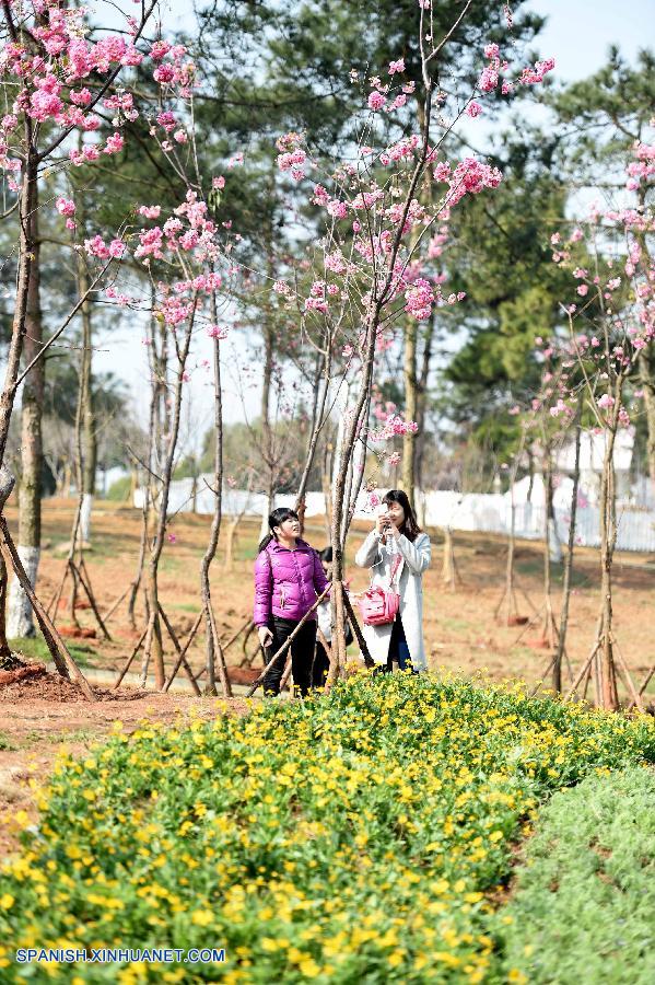 Anhui: Paisaje de primavera en Hefei